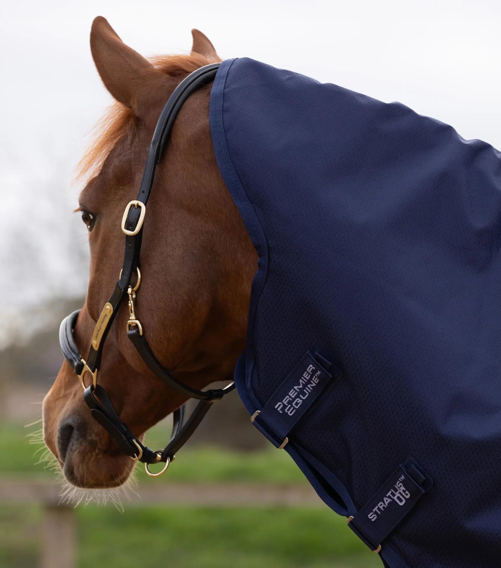 Stratus 600D Series 0g Turnout Rug with Classic Neck Cover Navy by Premier Equine Int. Ltd. at  Try A Bit