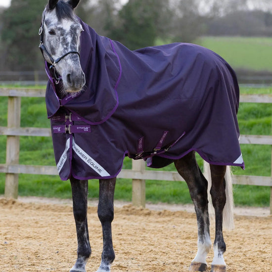 Stratus 600D Series 0g Turnout Rug with Classic Neck Cover Purple by Premier Equine Int. Ltd. at  Try A Bit