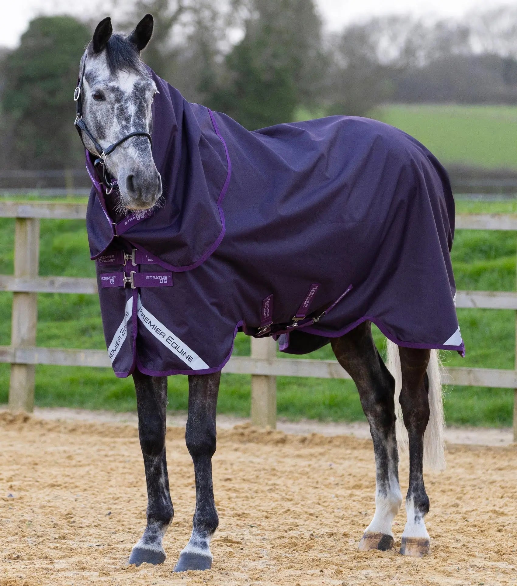 Stratus 600D Series 0g Turnout Rug with Classic Neck Cover Purple by Premier Equine Int. Ltd. at  Try A Bit