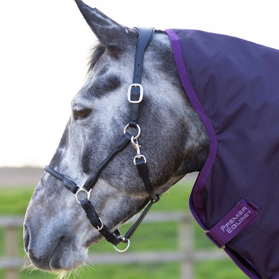 Stratus 600D Series 0g Turnout Rug with Classic Neck Cover Purple by Premier Equine Int. Ltd. at  Try A Bit