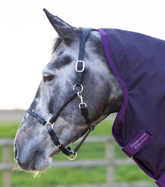 Stratus 600D Series 0g Turnout Rug with Classic Neck Cover Purple by Premier Equine Int. Ltd. at  Try A Bit