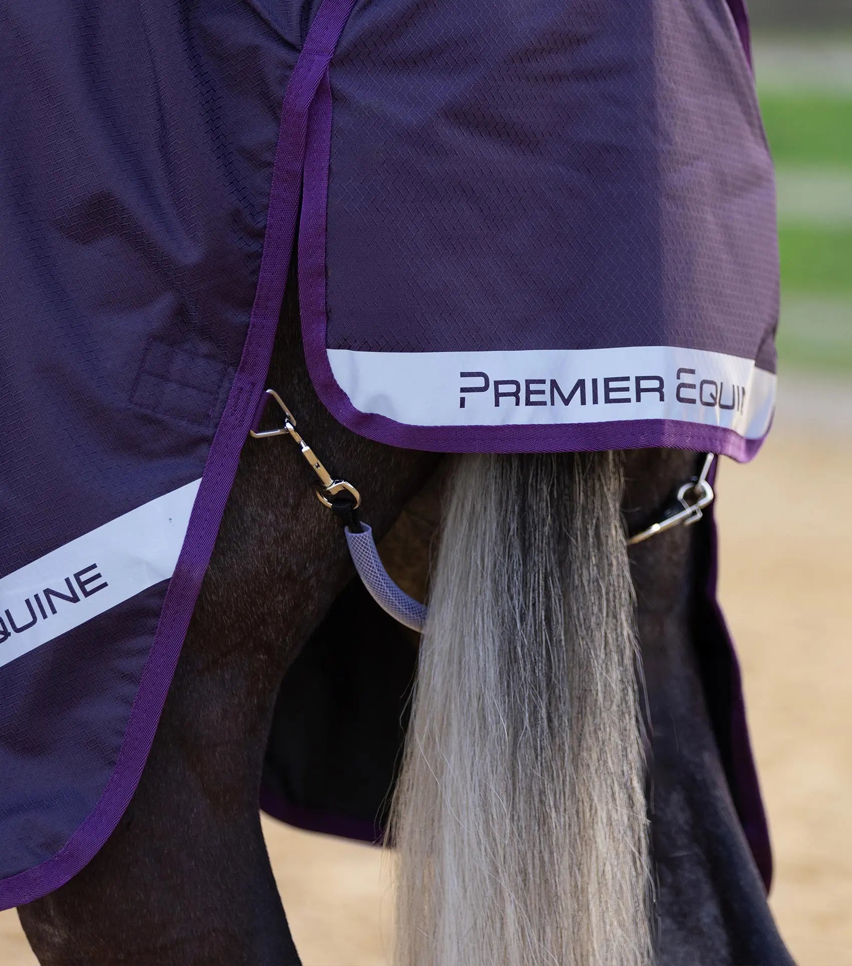 Stratus 600D Series 0g Turnout Rug with Classic Neck Cover Purple by Premier Equine Int. Ltd. at  Try A Bit