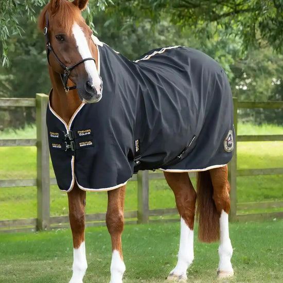 Premier Equine Stratus Horse Stable Sheet by Premier Equine at  Try a Bit