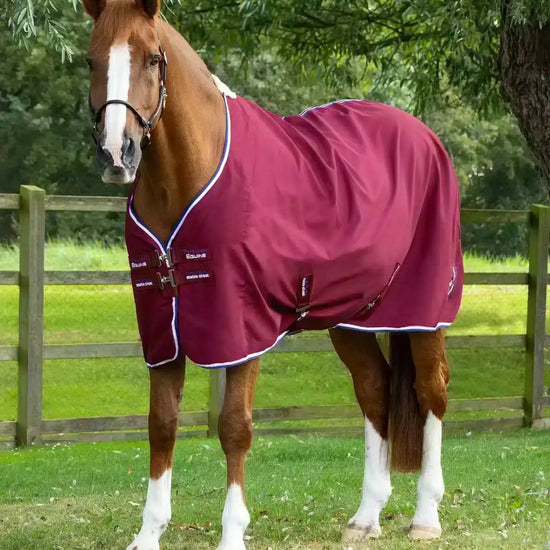 Premier Equine Stratus Horse Stable Sheet by Premier Equine at  Try a Bit