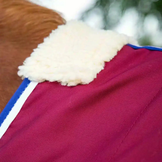 Premier Equine Stratus Horse Stable Sheet by Premier Equine at  Try a Bit