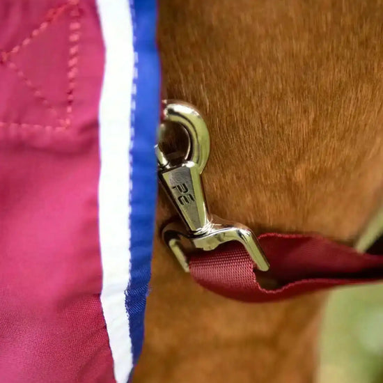 Premier Equine Stratus Horse Stable Sheet by Premier Equine at  Try a Bit