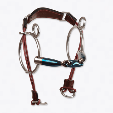 Trust Sweet Iron Elliptical CurbGag by Trust Equestrian at  Try a Bit