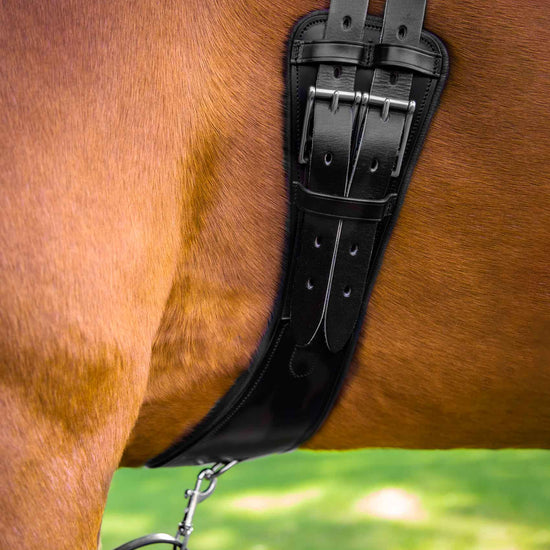 Premier Equine Tamarro Anatomic Leather Girth by Premier Equine at  Try a Bit