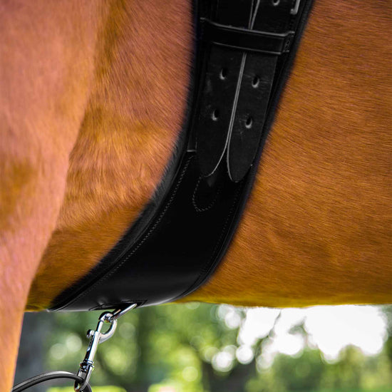 Premier Equine Tamarro Anatomic Leather Girth by Premier Equine at  Try a Bit