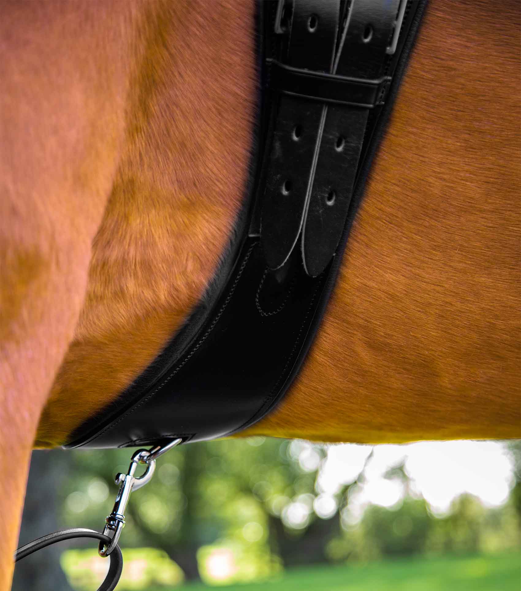Premier Equine Tamarro Anatomic Leather Girth by Premier Equine at  Try a Bit
