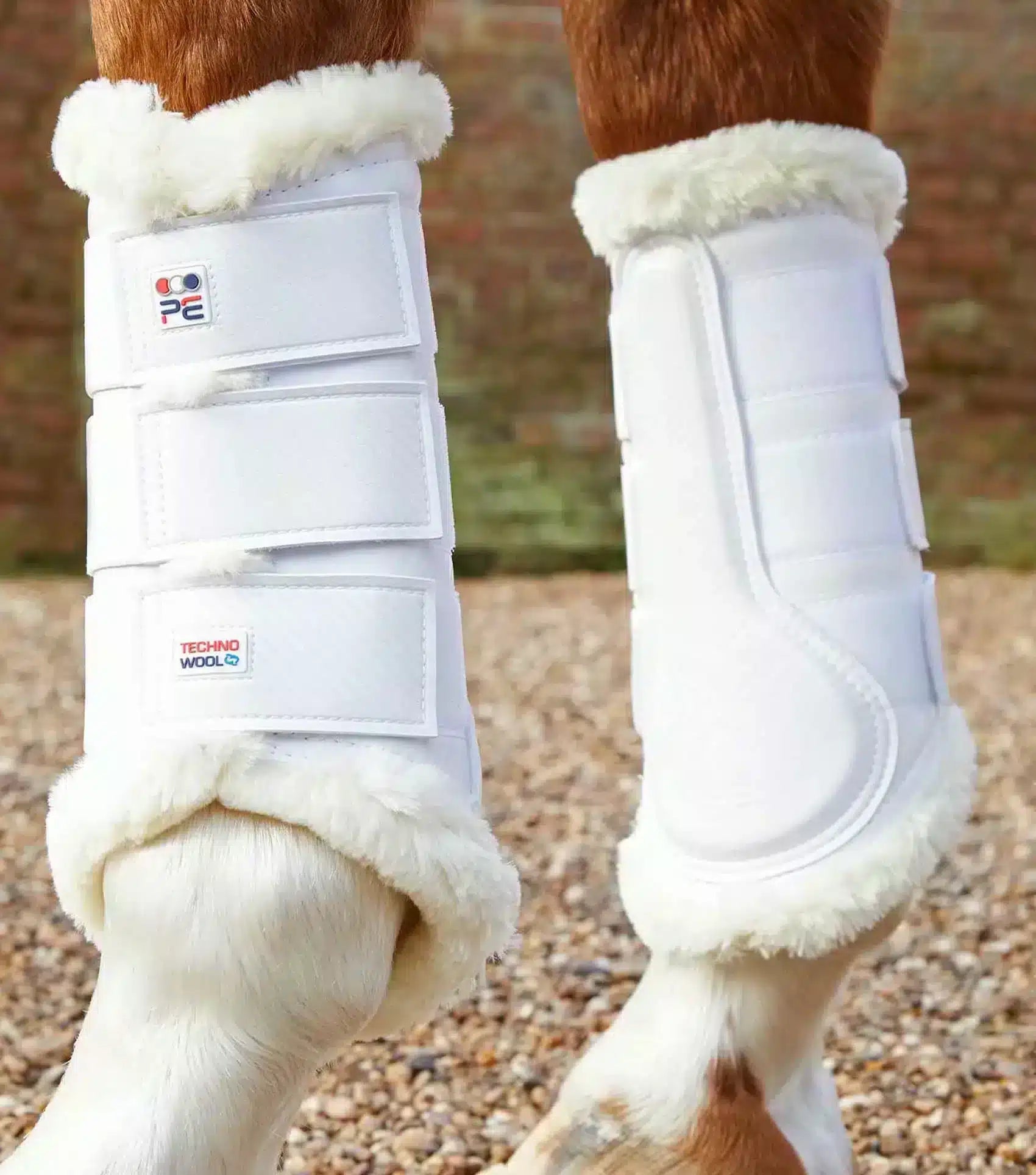 Premier Equine Techno Wool Brushing Boots by Premier Equine at  Try a Bit