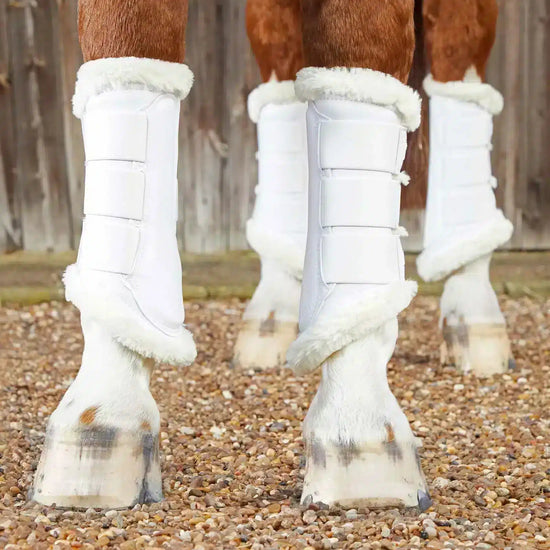 Premier Equine Techno Wool Brushing Boots by Premier Equine at  Try a Bit