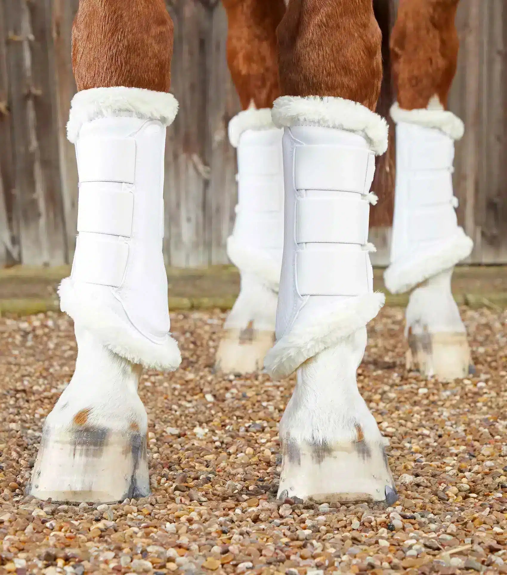 Premier Equine Techno Wool Brushing Boots by Premier Equine at  Try a Bit