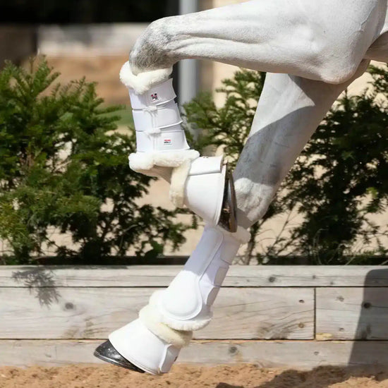 Premier Equine Techno Wool Brushing Boots by Premier Equine at  Try a Bit