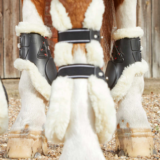 Premier Equine Techno Wool Fetlock Boots by Premier Equine at  Try a Bit