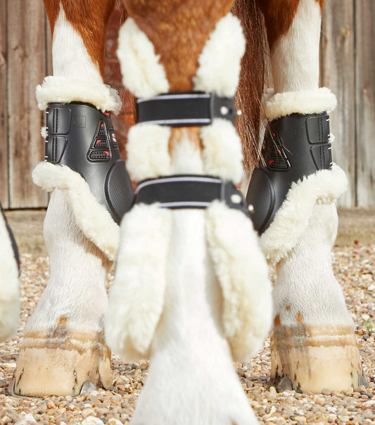 Premier Equine Techno Wool Fetlock Boots by Premier Equine at  Try a Bit