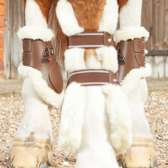 Premier Equine Techno Wool Fetlock Boots by Premier Equine at  Try a Bit