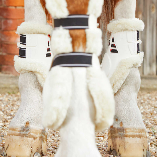 Premier Equine Techno Wool Fetlock Boots by Premier Equine at  Try a Bit