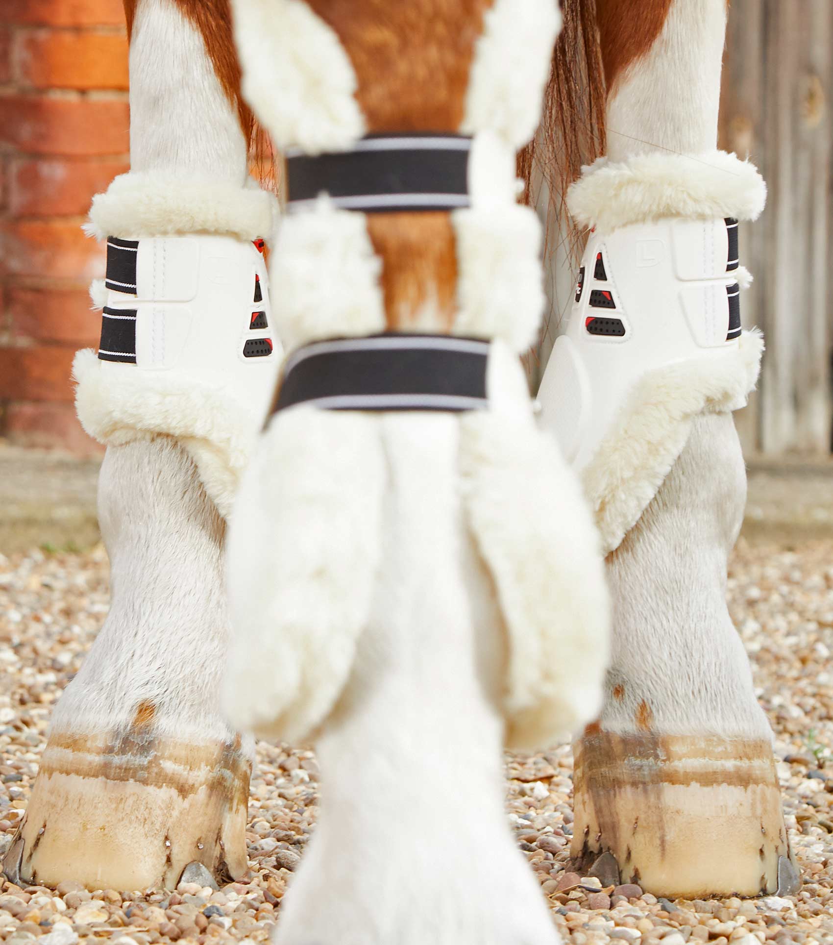 Premier Equine Techno Wool Fetlock Boots by Premier Equine at  Try a Bit