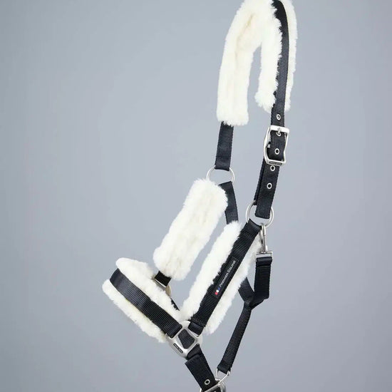 Premier Equine Techno Wool Lined Head Collar by Premier Equine at  Try a Bit