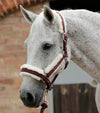 Premier Equine Techno Wool Lined Head Collar by Premier Equine at  Try a Bit