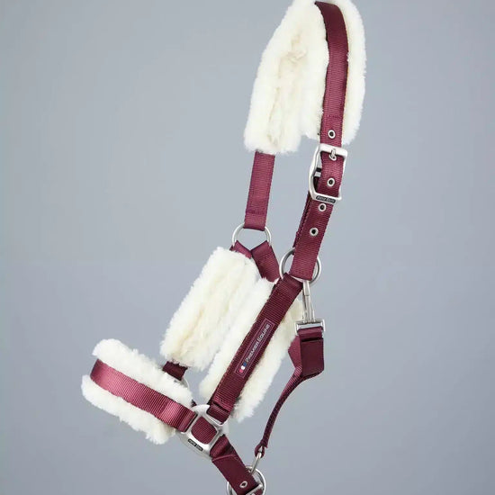 Premier Equine Techno Wool Lined Head Collar by Premier Equine at  Try a Bit