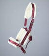Premier Equine Techno Wool Lined Head Collar by Premier Equine at  Try a Bit