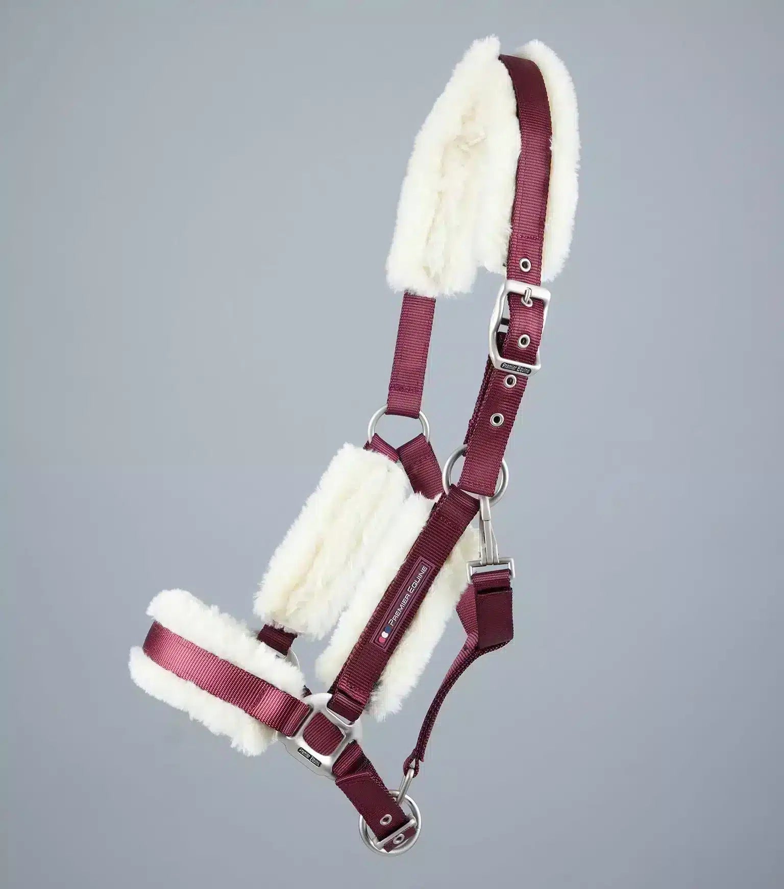 Premier Equine Techno Wool Lined Head Collar by Premier Equine at  Try a Bit