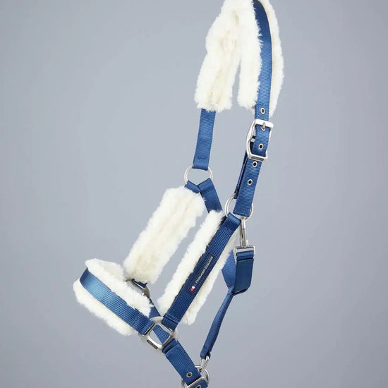 Premier Equine Techno Wool Lined Head Collar by Premier Equine at  Try a Bit