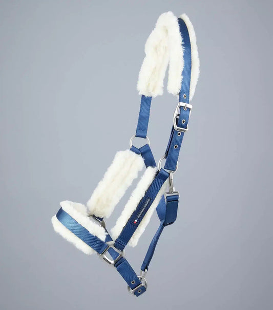Premier Equine Techno Wool Lined Head Collar by Premier Equine at  Try a Bit