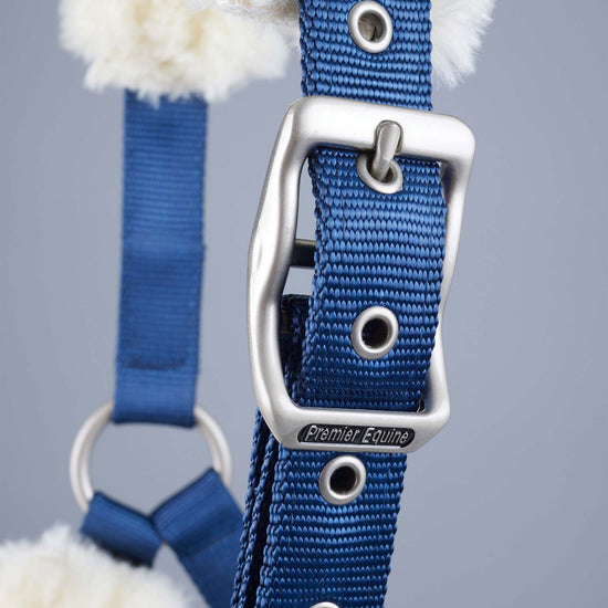 Premier Equine Techno Wool Lined Head Collar by Premier Equine at  Try a Bit