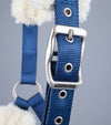 Premier Equine Techno Wool Lined Head Collar by Premier Equine at  Try a Bit