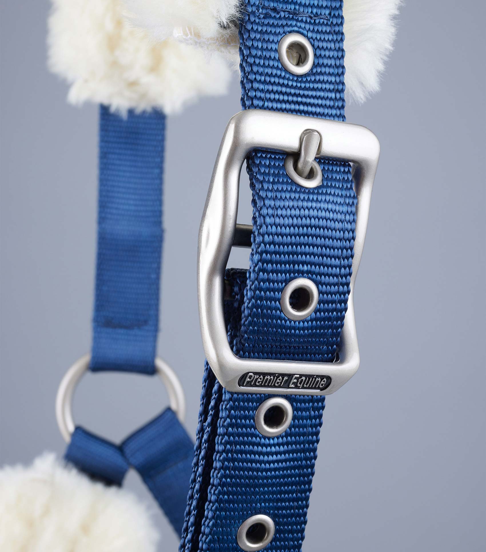 Premier Equine Techno Wool Lined Head Collar by Premier Equine at  Try a Bit