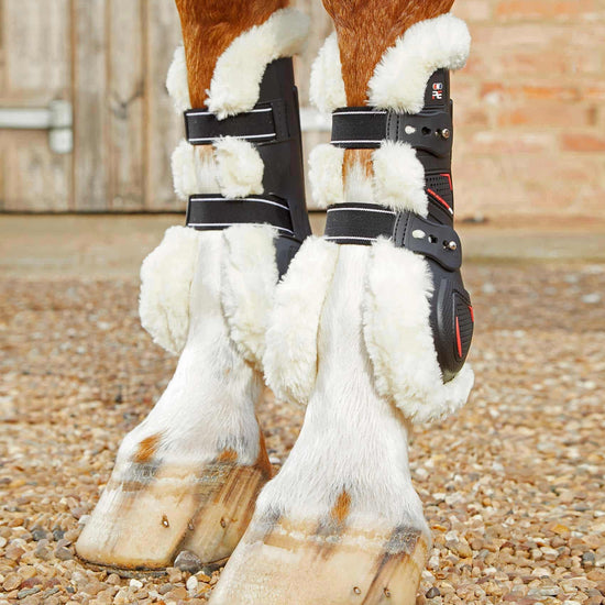 Premier Equine Techno Wool Tendon Boots by Premier Equine at  Try a Bit