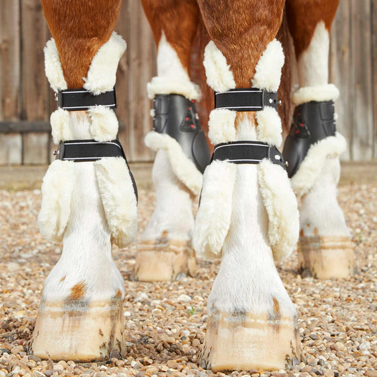 Premier Equine Techno Wool Tendon Boots by Premier Equine at  Try a Bit