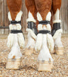 Premier Equine Techno Wool Tendon Boots by Premier Equine at  Try a Bit
