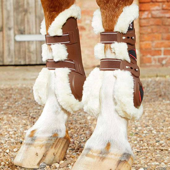 Premier Equine Techno Wool Tendon Boots by Premier Equine at  Try a Bit