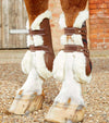 Premier Equine Techno Wool Tendon Boots by Premier Equine at  Try a Bit