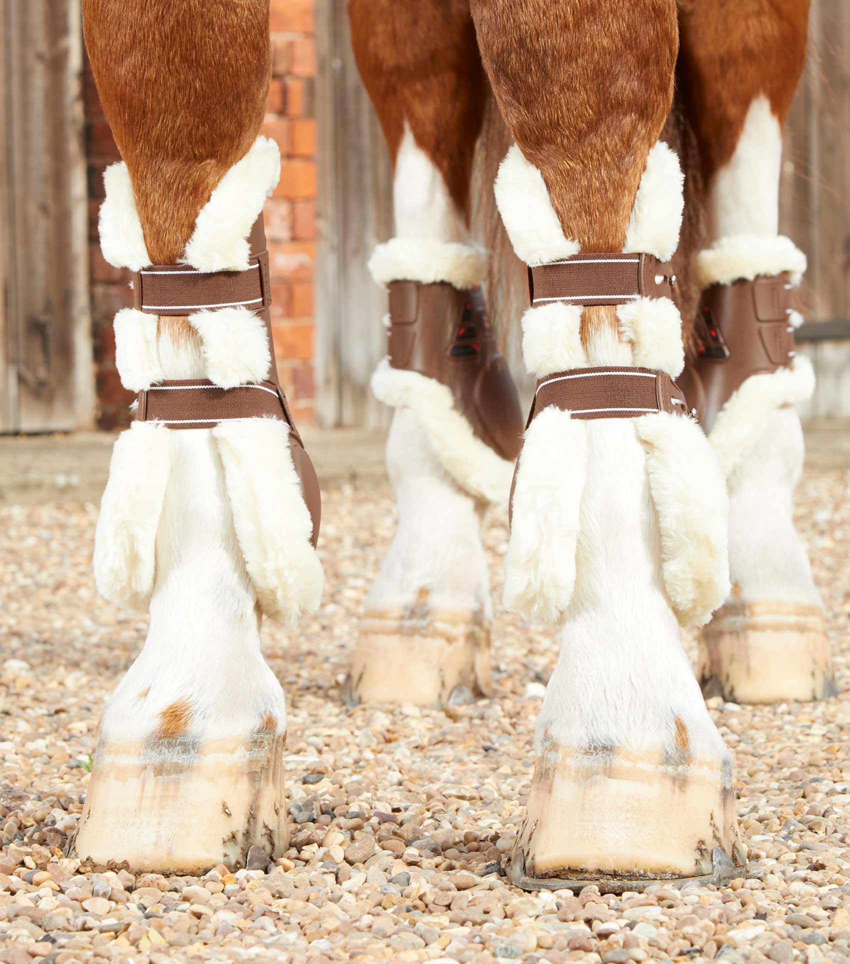 Premier Equine Techno Wool Tendon Boots by Premier Equine at  Try a Bit