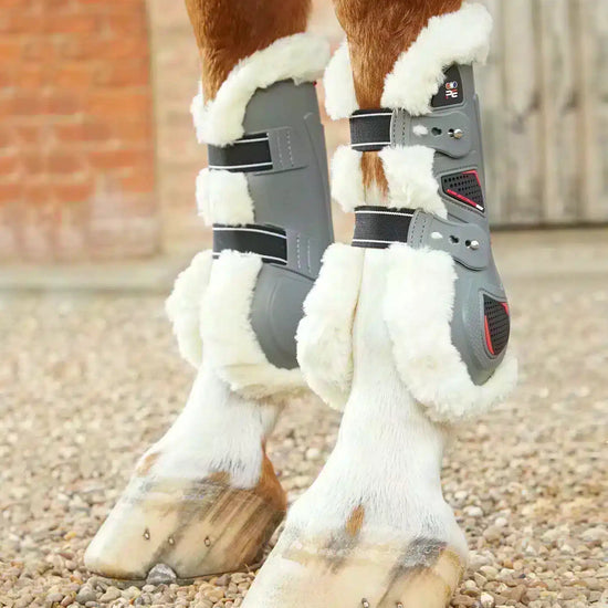 Premier Equine Techno Wool Tendon Boots by Premier Equine at  Try a Bit