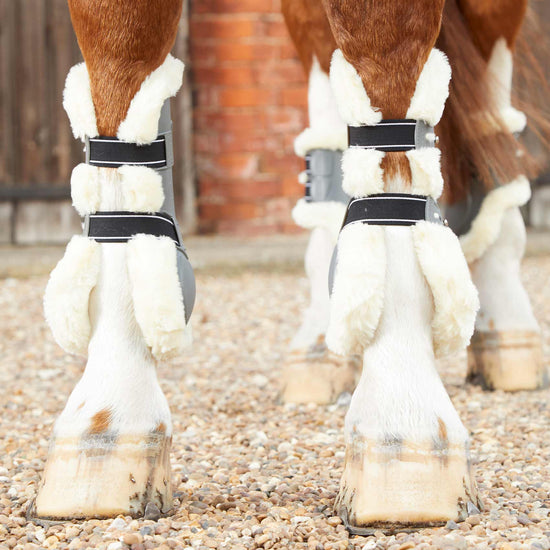 Premier Equine Techno Wool Tendon Boots by Premier Equine at  Try a Bit