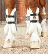Premier Equine Techno Wool Tendon Boots by Premier Equine at  Try a Bit