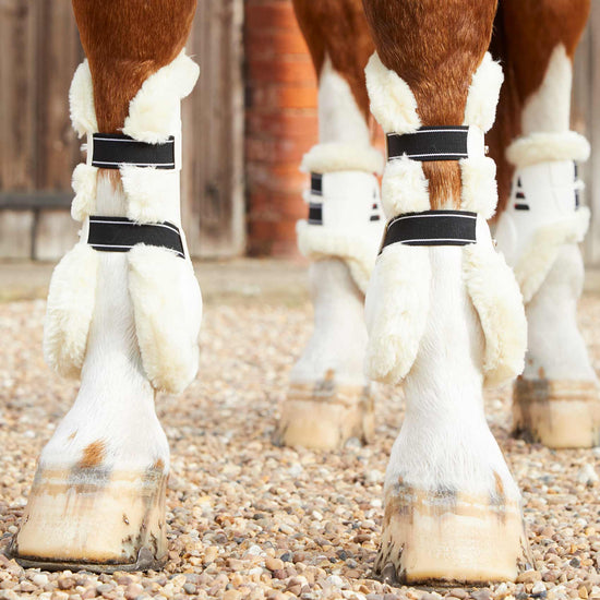 Premier Equine Techno Wool Tendon Boots by Premier Equine at  Try a Bit