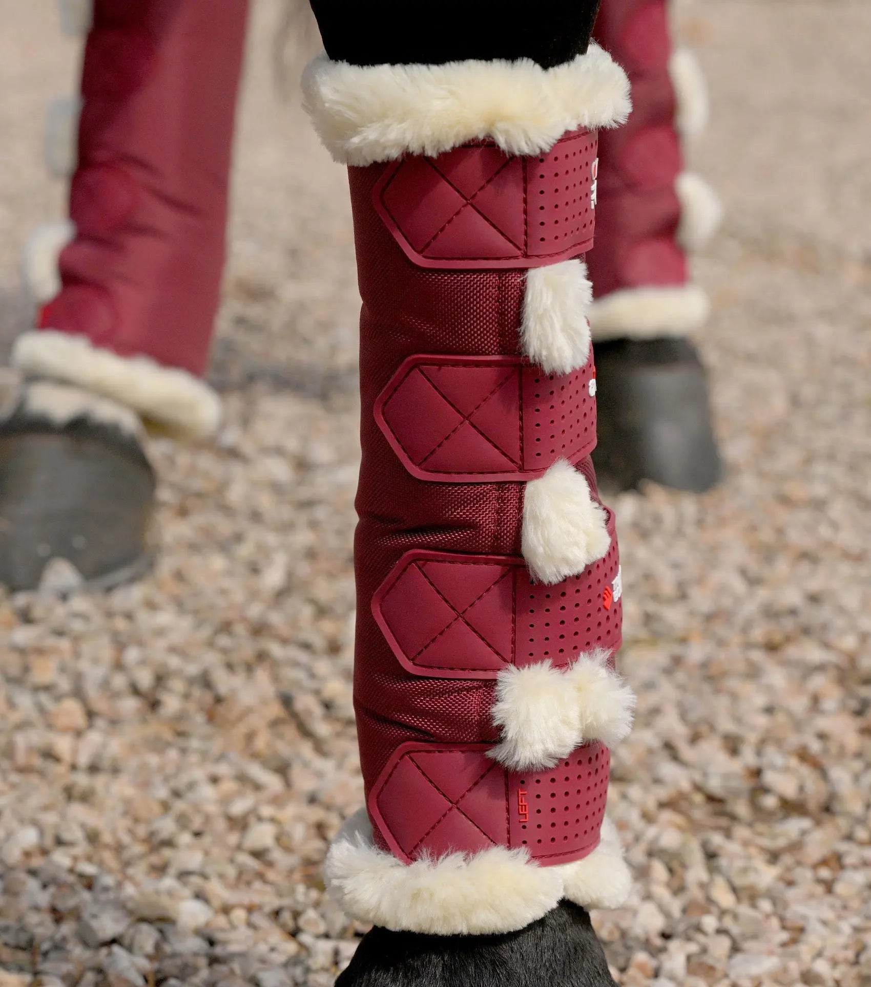 Techno Wool Travel Boots Burgundy by Premier Equine Int. Ltd. at  Try A Bit