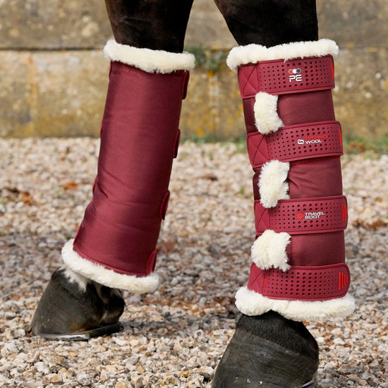 Techno Wool Travel Boots Burgundy by Premier Equine Int. Ltd. at  Try A Bit