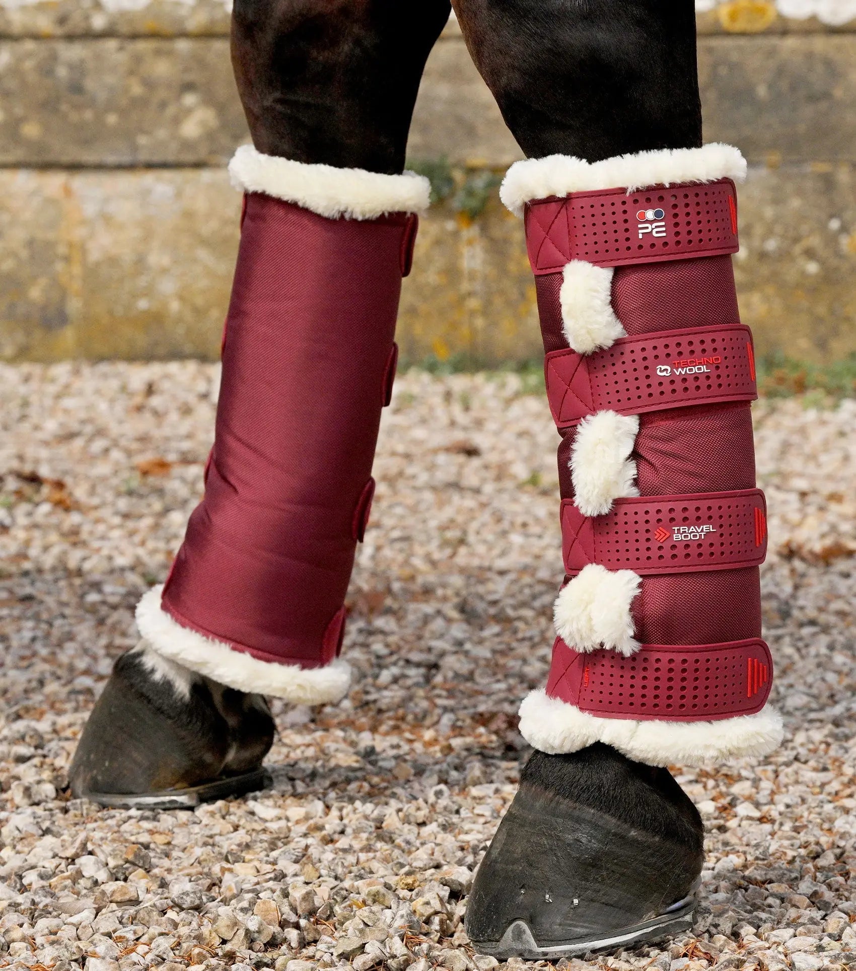 Techno Wool Travel Boots Burgundy by Premier Equine Int. Ltd. at  Try A Bit