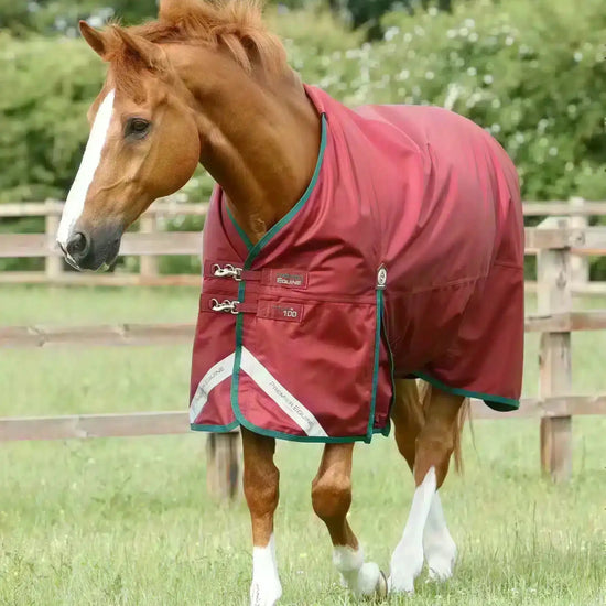 Premier Equine Titan 100g Original Turnout Rug by Premier Equine at  Try a Bit
