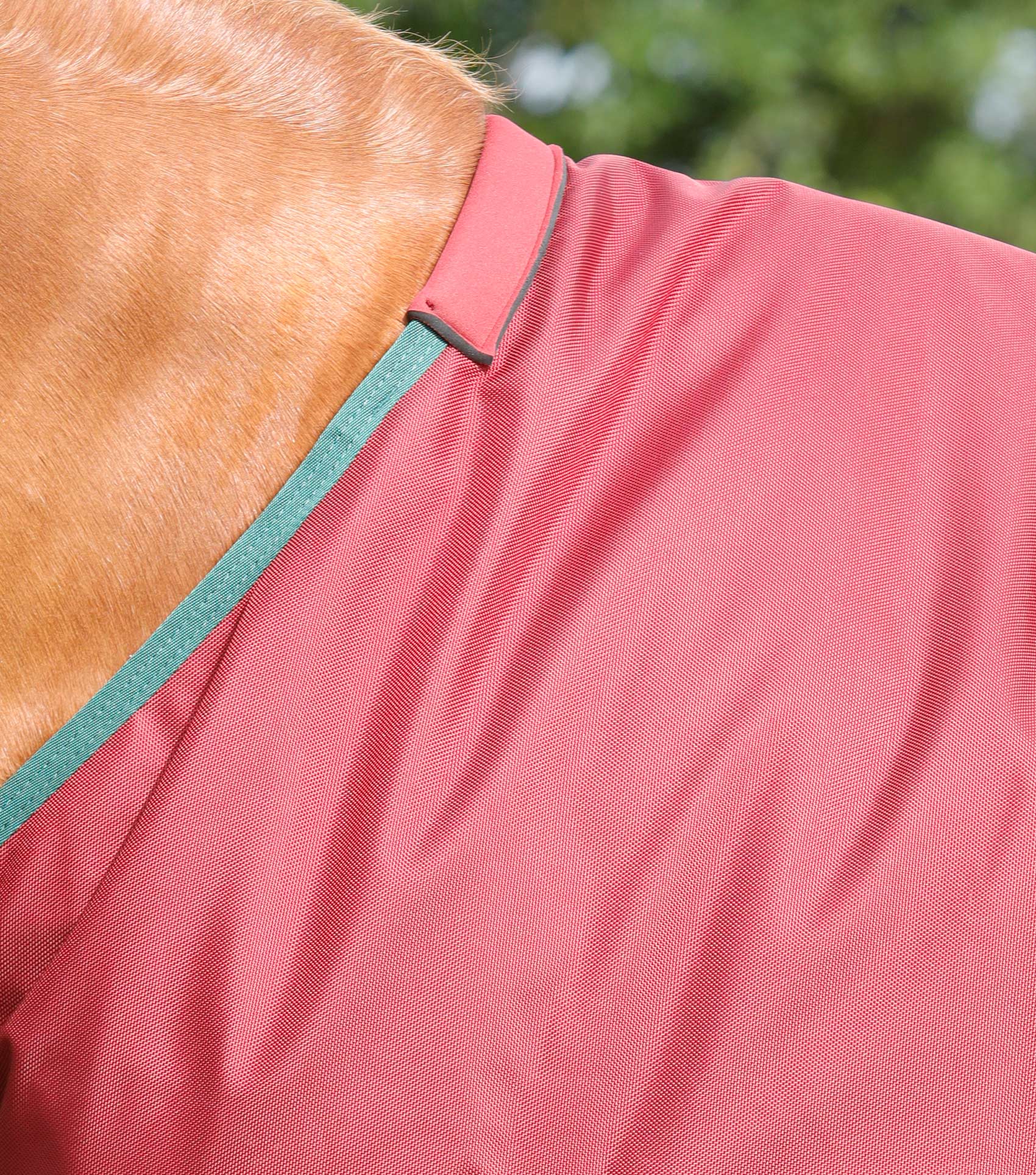 Premier Equine Titan 100g Original Turnout Rug by Premier Equine at  Try a Bit