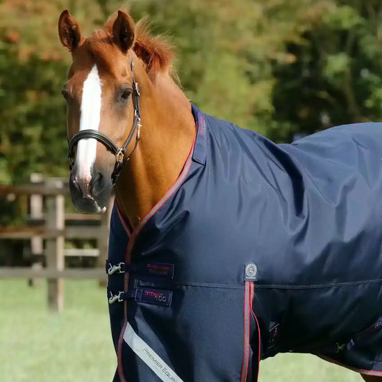 Premier Equine Titan 100g Turnout Rug with Snug-Fit Neck Cover by Premier Equine at  Try a Bit