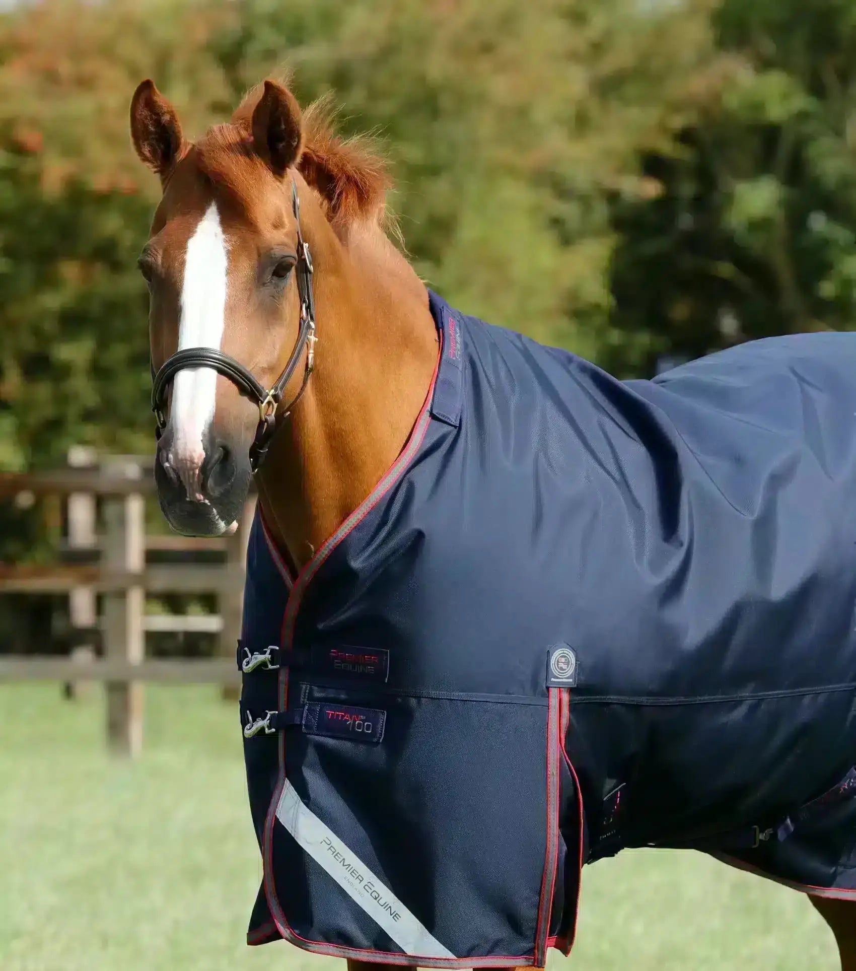 Premier Equine Titan 100g Turnout Rug with Snug-Fit Neck Cover by Premier Equine at  Try a Bit